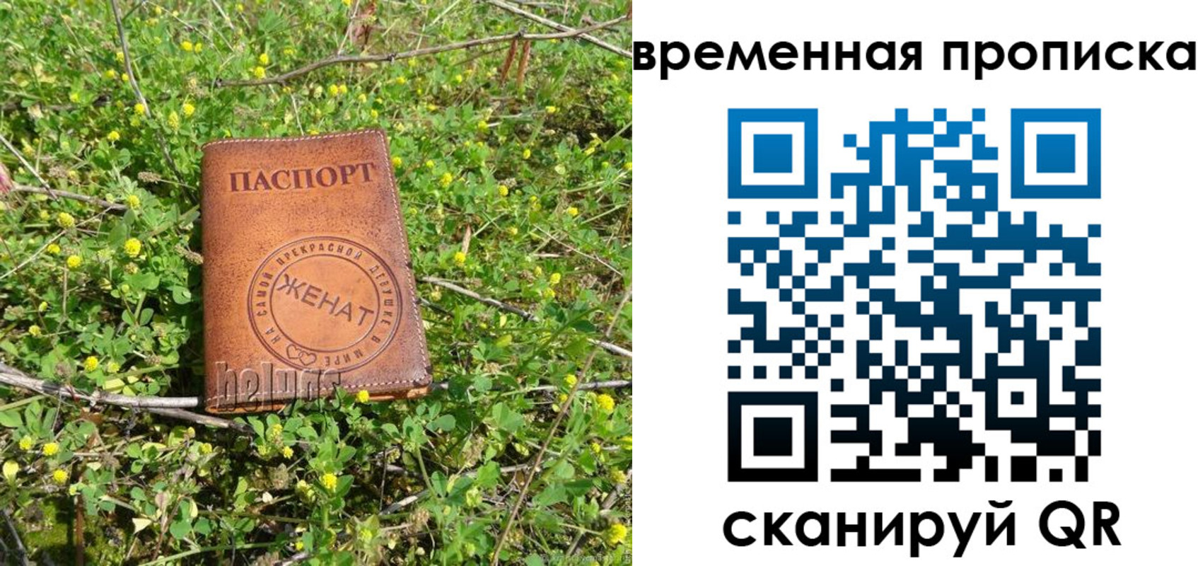 форма 3 в Каргате